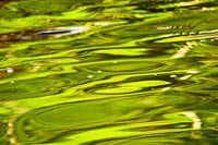 Wasser
